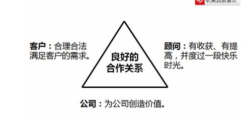 金融测试与企业信息咨询服务 风险防范与决策支持的协同力量